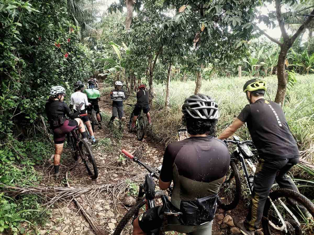 bikerumor pic of the day a group of mountain bikers are on a raw trail recently cut next to a pineapple farm in the philippines.