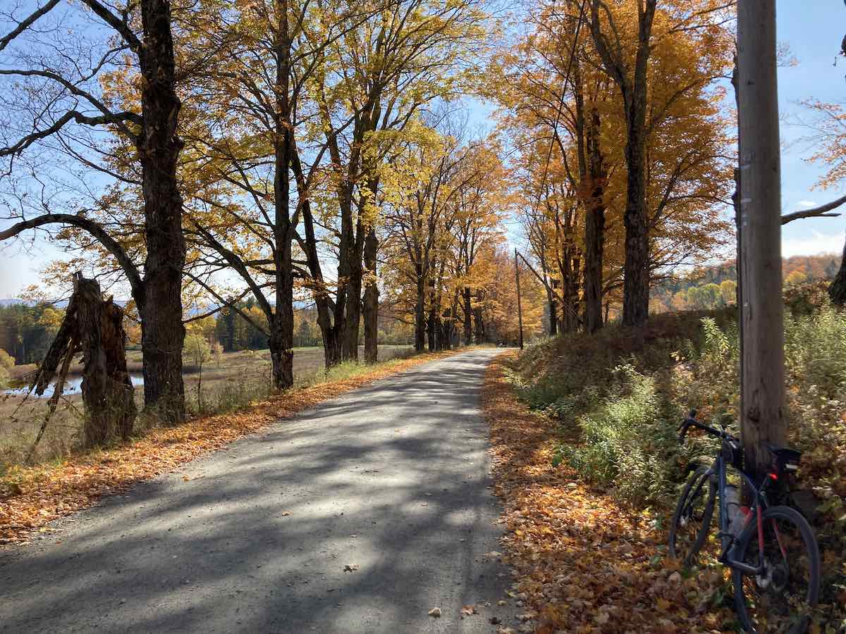 bikerumor pic of the day a bicycle leans against a tree along a dirt road, the trees are turning autumn colors and the sun is low in the sky creating long shadows.