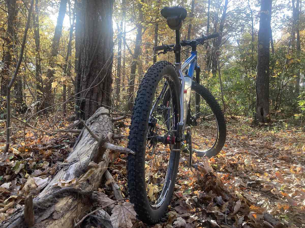 bikerumor pic of the day looking up from behind a single speed bicycle leaning against a log on a leaf covered trail as the sun comes through the trees.