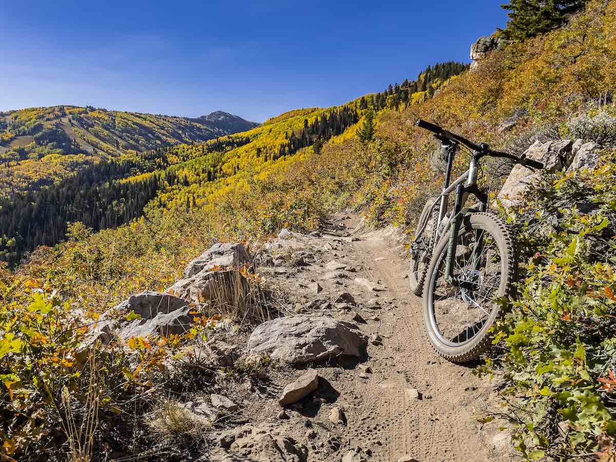 bikerumor pic of the day a mountain bike leans against the side of a rocky trail with mountain side covered in pines and yellow leafed aspens in the distance, the sky is clear and bright.
