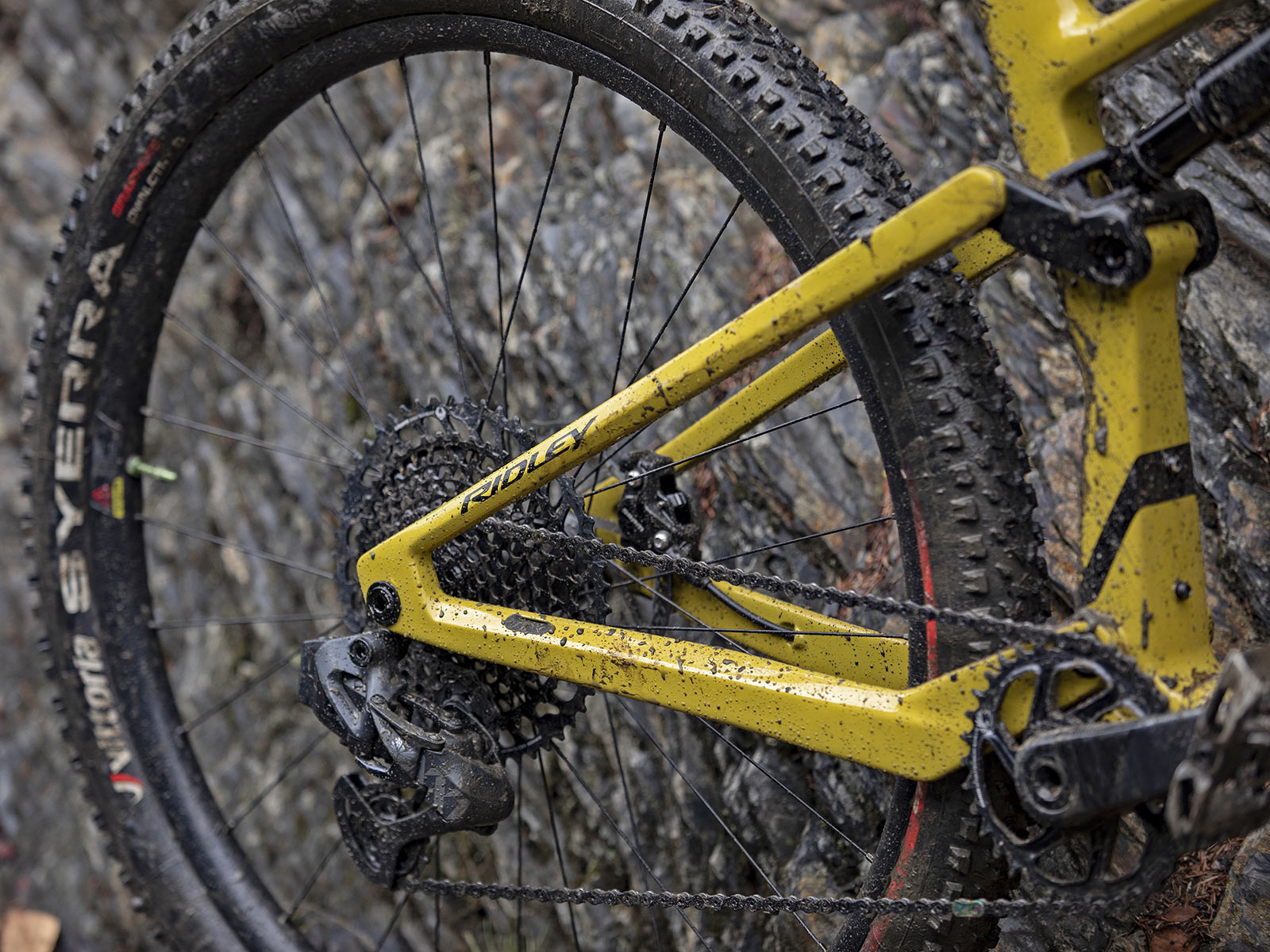 Ridley Raft XC 100mm full-suspension carbon mountain bike, rear end