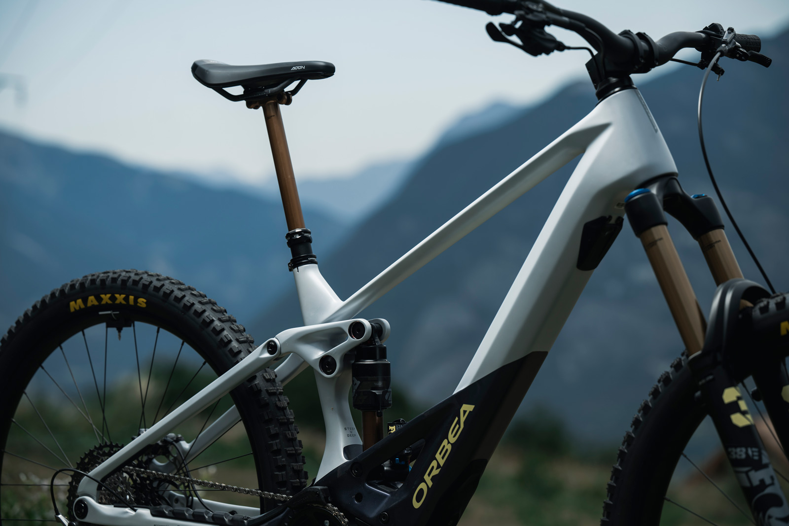 2023 orbea wild integrated battery not removable