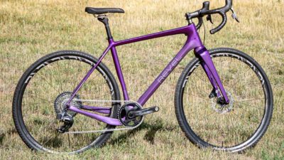 Just a Few Days Left To Donate & Win Custom Purple LoveYourBrain x Revel Rover or Rail29!
