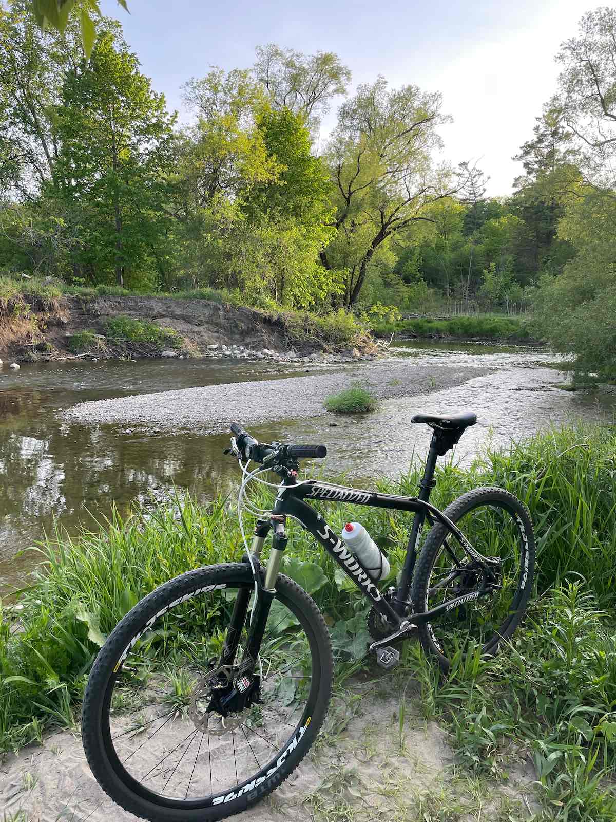 bikerumor pic of the day a bicycle is along a small river or stream surrounded by tall grass