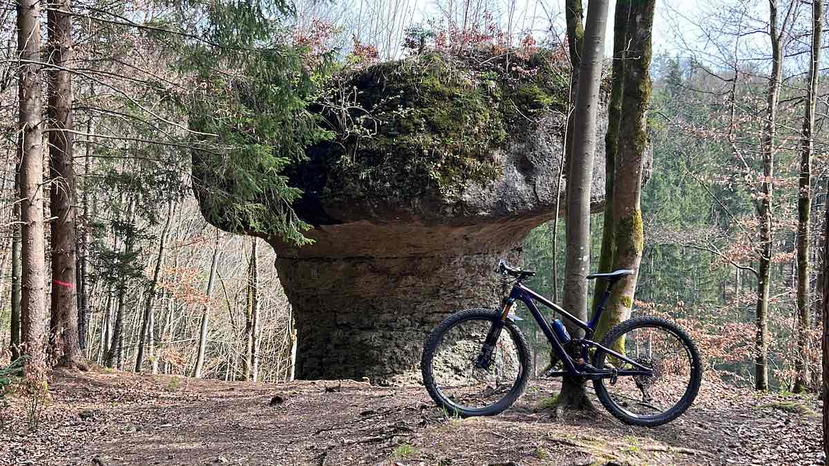 bikerumor pic of the day a mountain bike is leaning against a tree in the woods near a land feature that looks like a dirt form that has erosion around its base.
