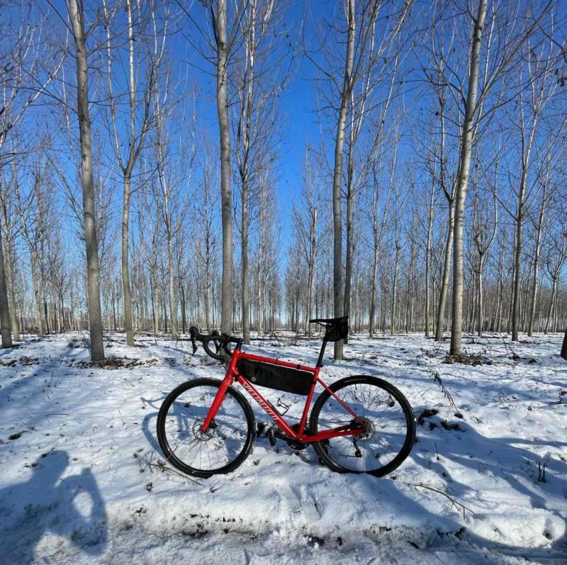 bikerumor pic of the day a gravel bike in the snow next to a grove of trees on a sunny clear day