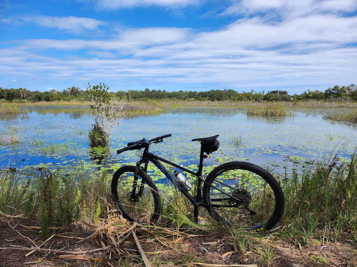 bikerumor pic of the day a mountain bike is in tall grasses along a wetland