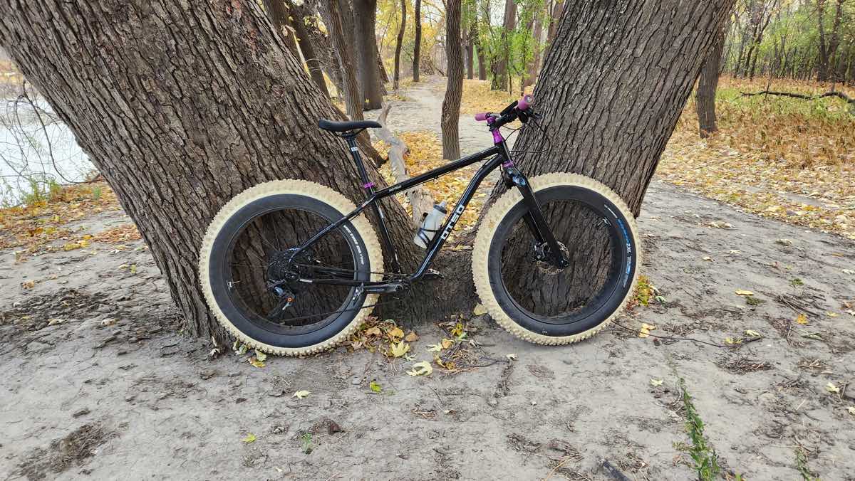 bikerumor pic of the day fat tire bike leans against a split trunk tree beside a dirt trail covered in leaves