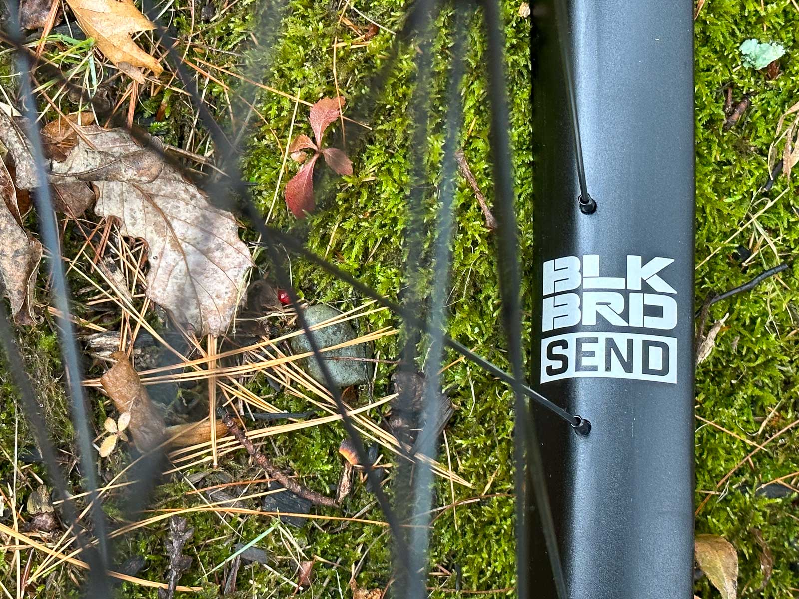 Blackbird Send Wheels from Ibis