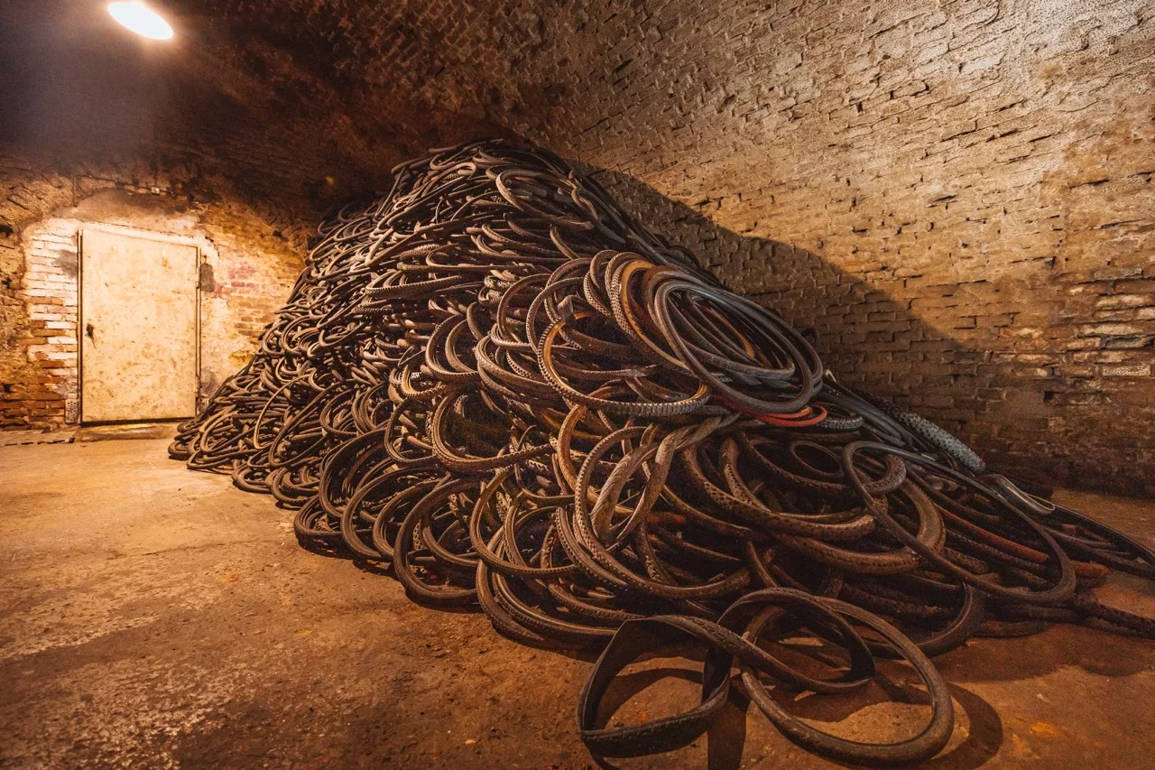 Schwalbe Recycling Tires in cellar
