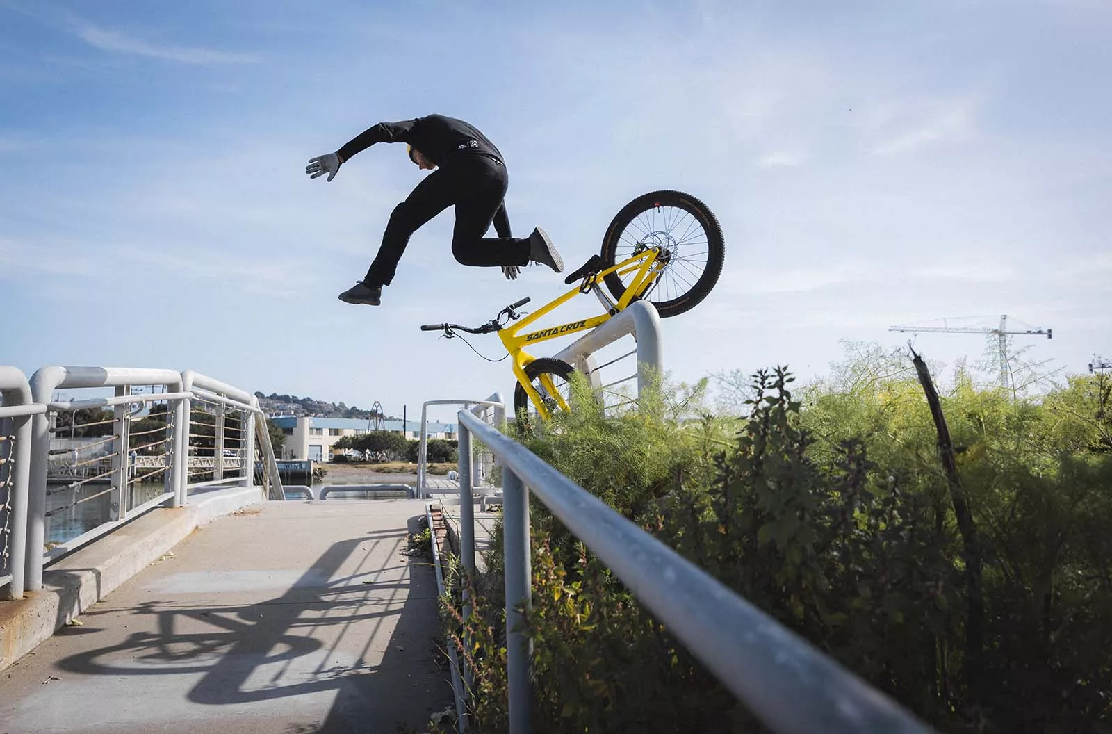 Danny macaskill discount