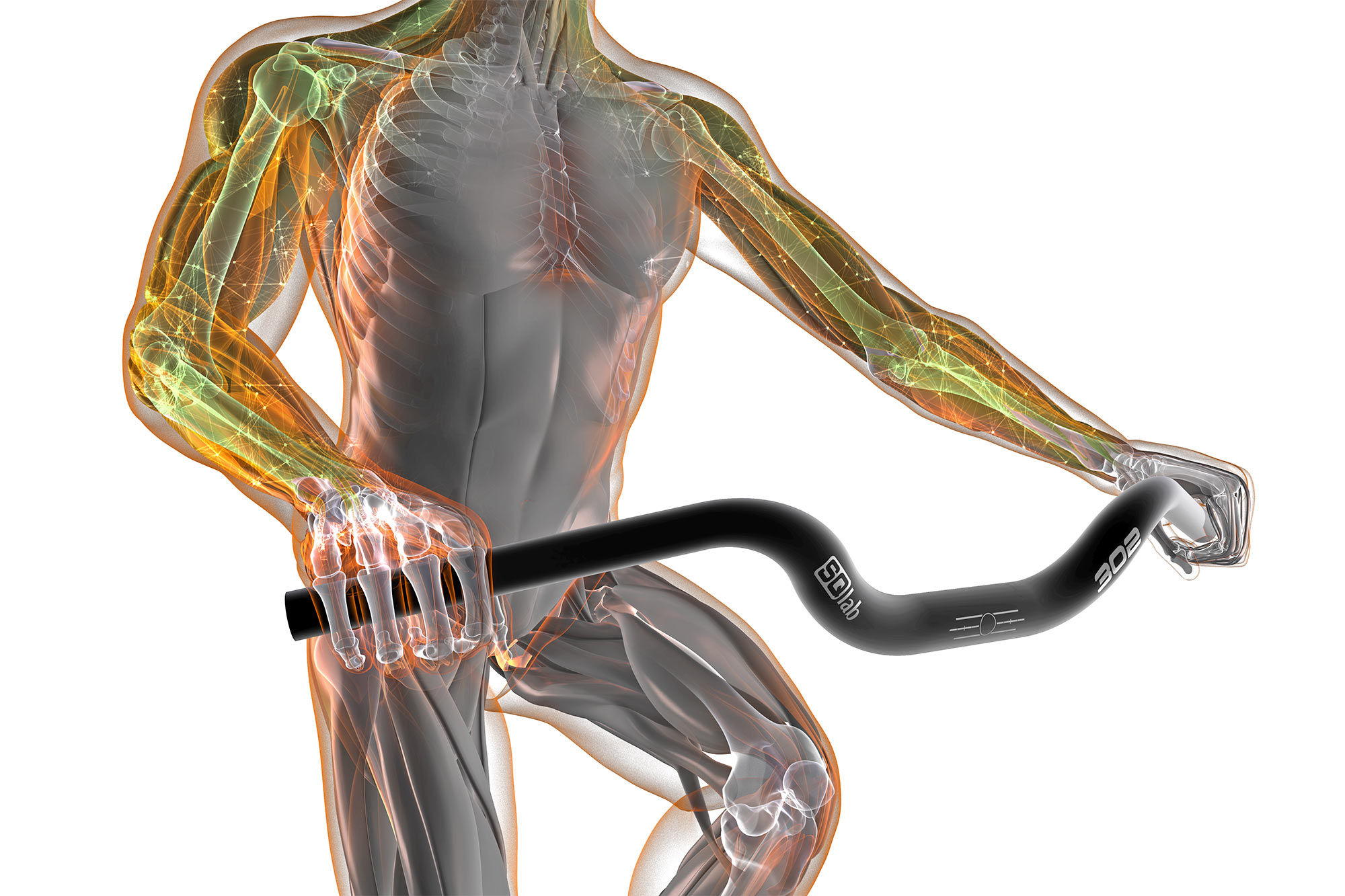 SQlab Comfort bars ergonomic alloy MTB trekking & commuter handlebars, musculoskeletal view muscles skeleton