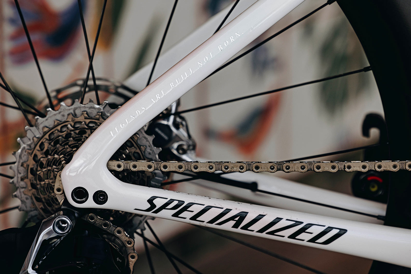 S-Works World Champ Tarmac SL7 of Niamh Fischer-Black, motivational quotes