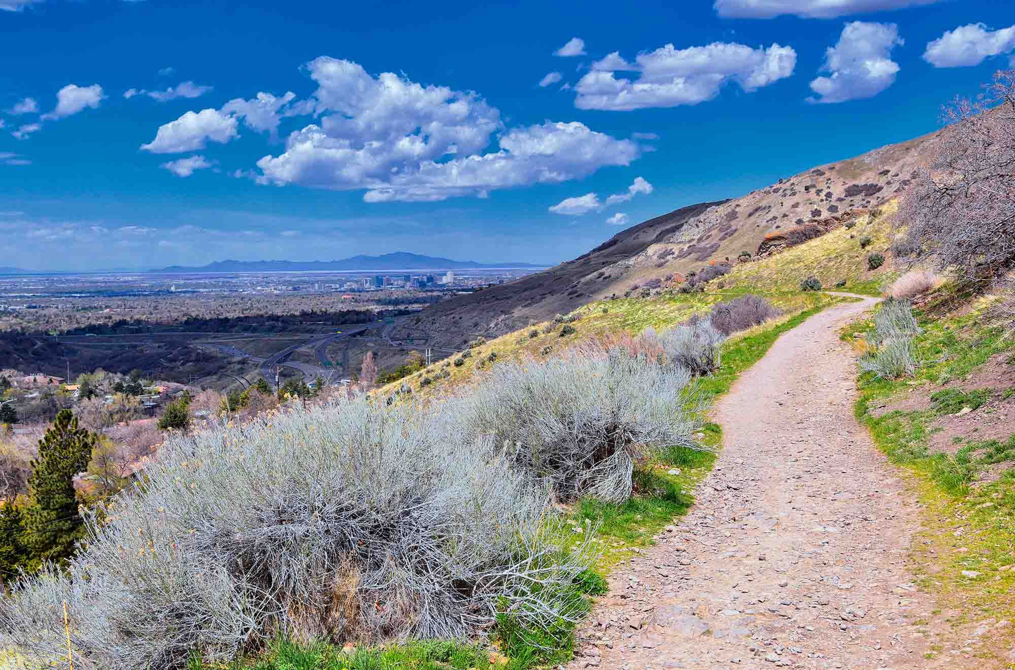 bonneville shoreline trail