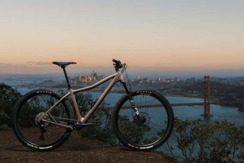 ibis DV9 carbon hardtail MTB shown in Muddy Water color