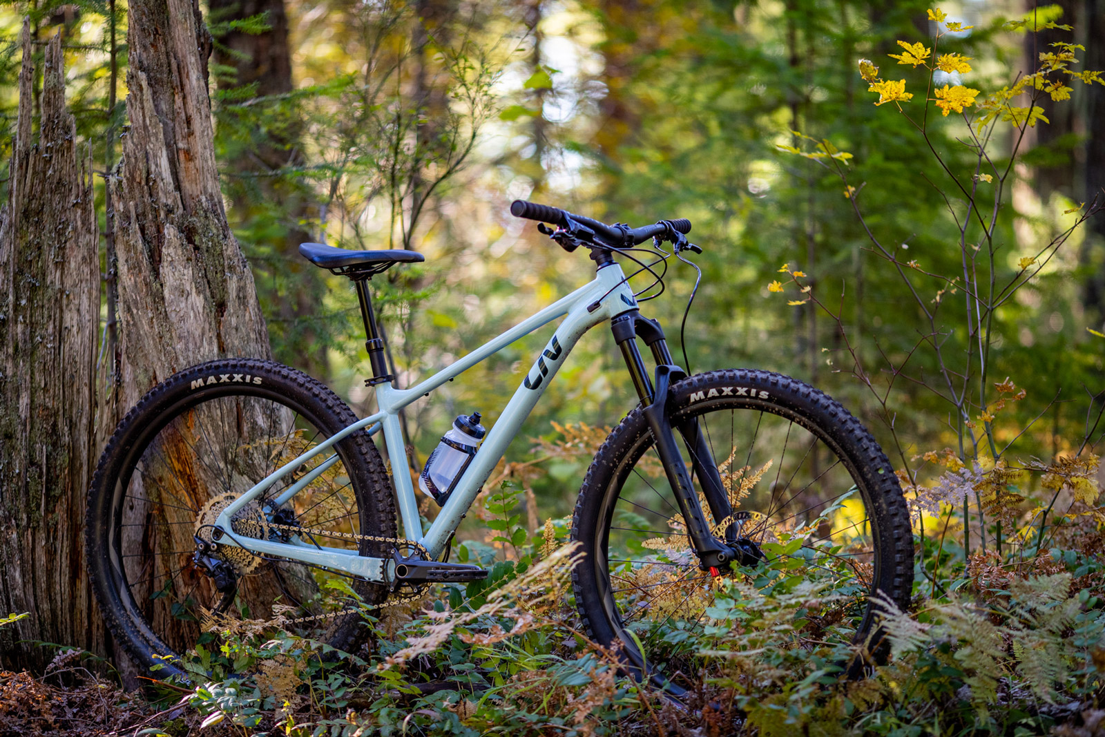 Liv Lurra 130mm Hardtail Rolls Up for Performance-Minded Trail Riders