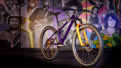 REEB Cycles Limited Edition “Halo Build” SST Packs Cane Creek Helm MKII Sunburst Fork