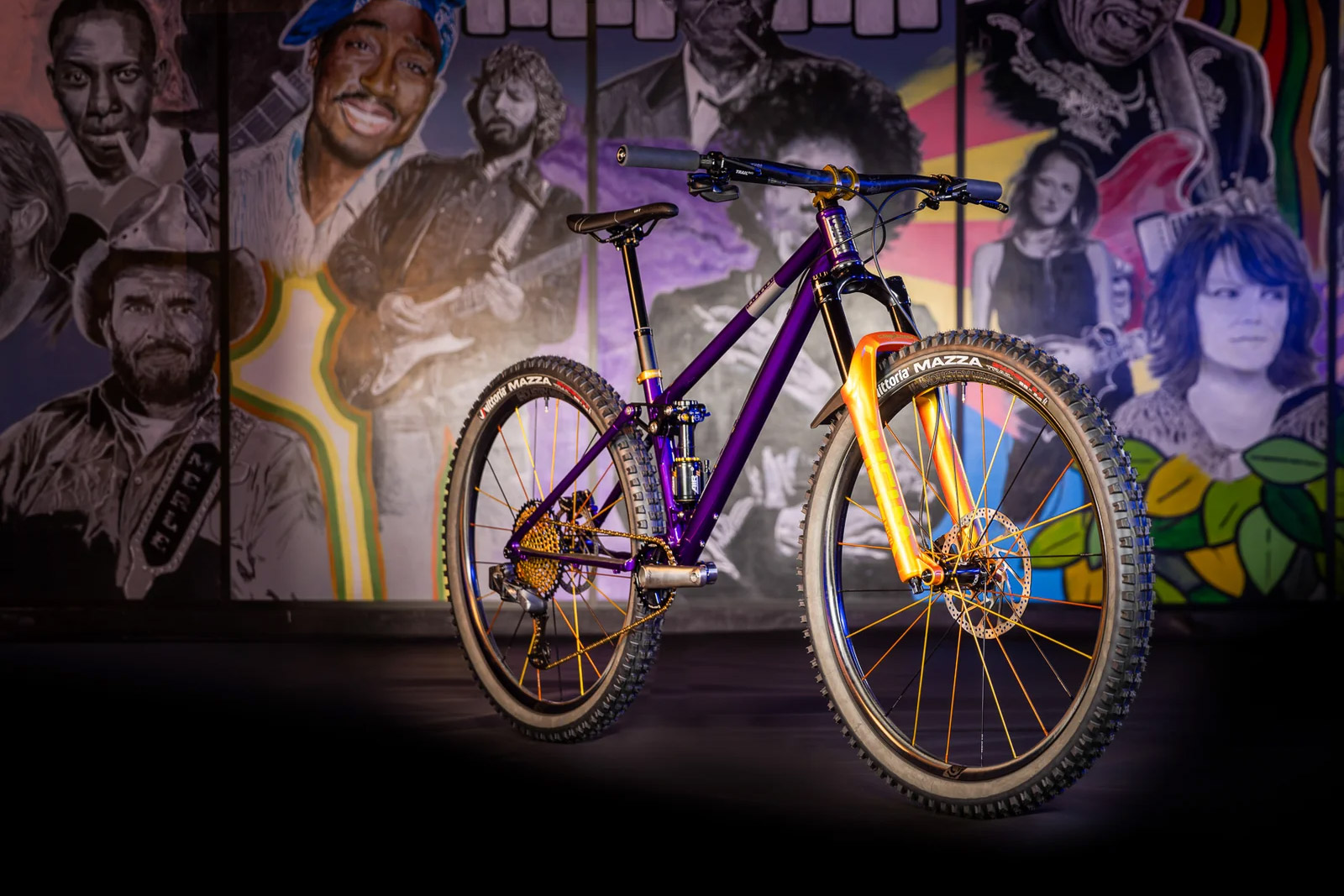 REEB Cycles Limited Edition “Halo Build” SST Packs Cane Creek Helm MKII Sunburst Fork