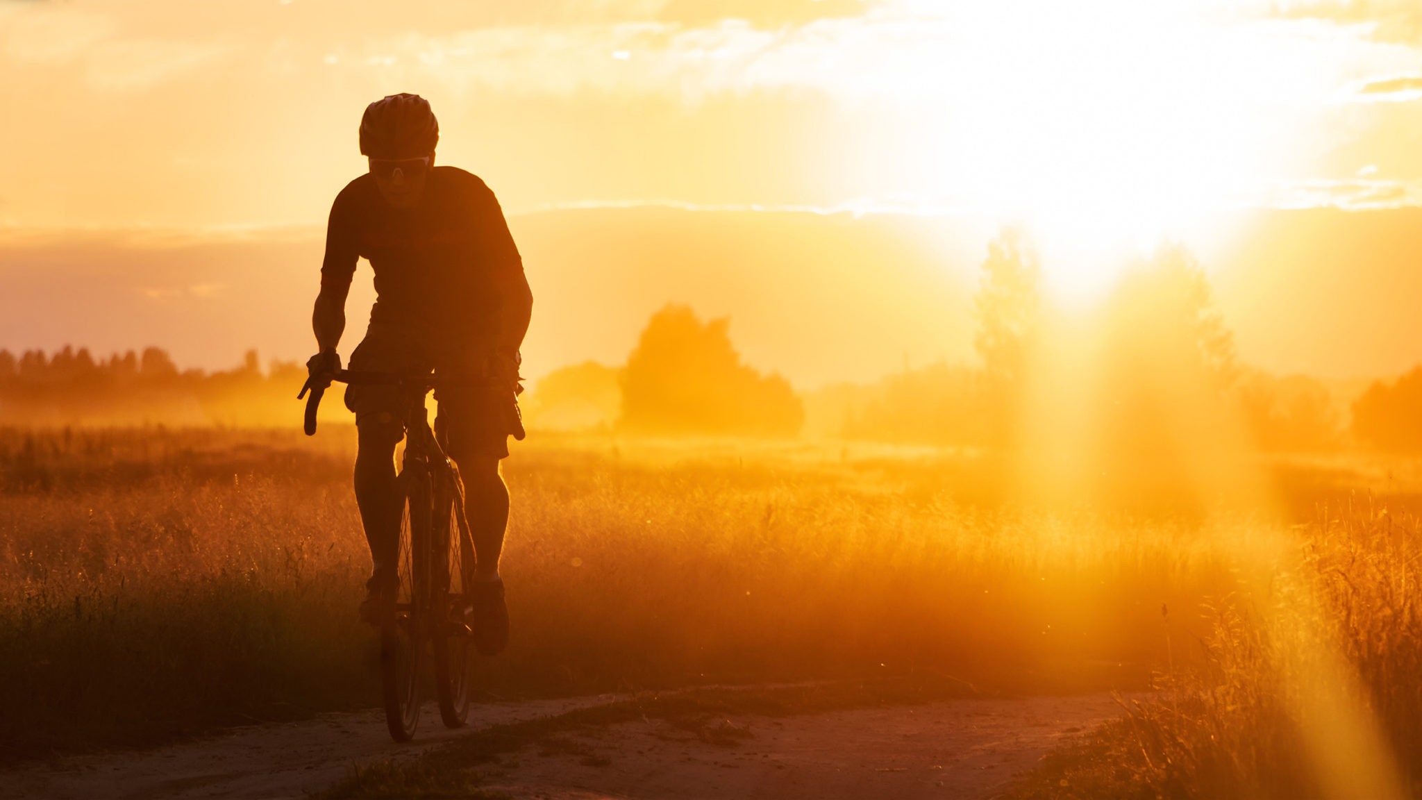 Gravel Cycling Hall Of Fame Inducts Second Class - Bikerumor