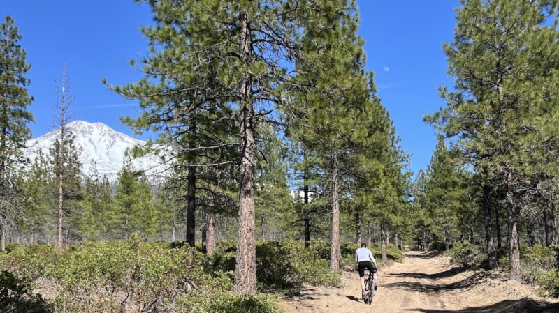 riding a gravel road among tall pine trees with mt. shasta in the background