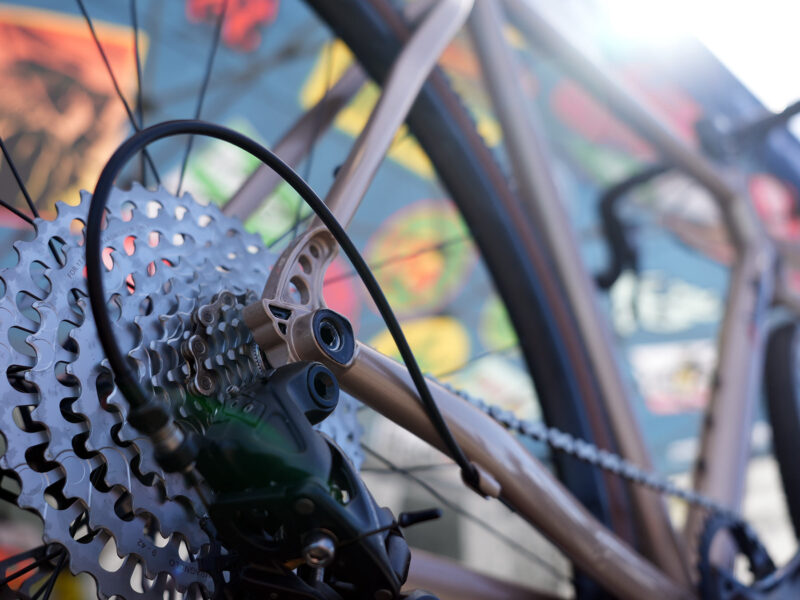 closeup details of cinelli nemo tig gravel bike rear dropout