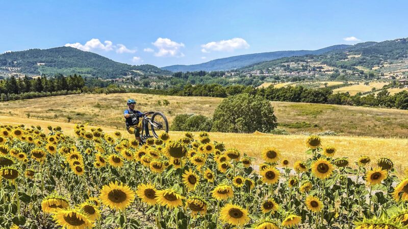 a man pops a wheelie on a mountain bike with sunflowers in the foreground