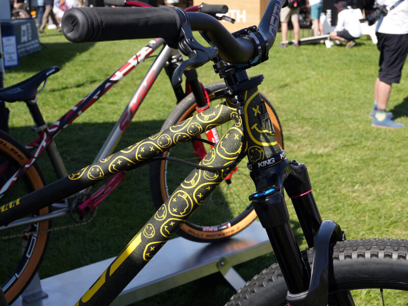 custom painted titanium bicycles from sage cycles