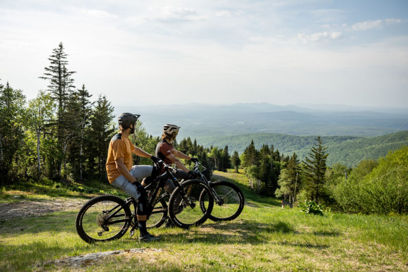 Devinci e-Troy ebike in clearing