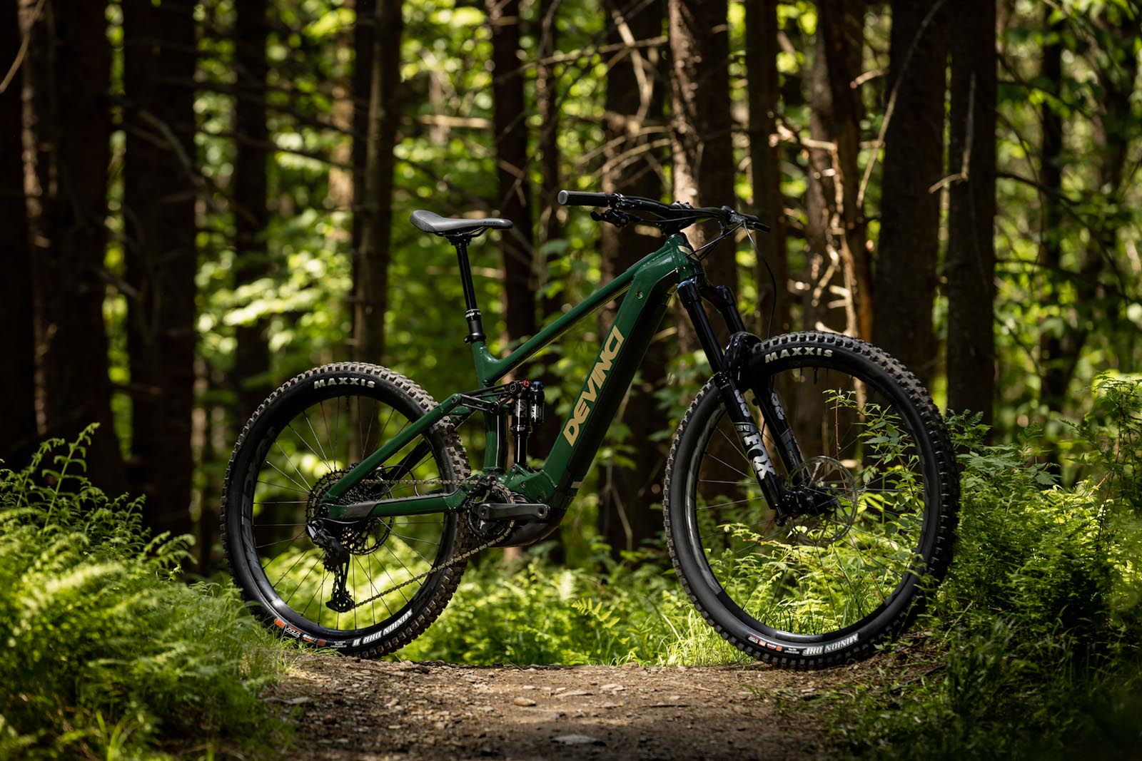 2023 Devinci E-Troy, in forest