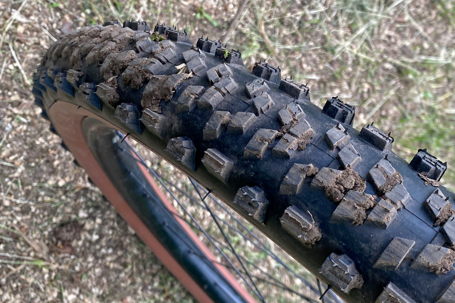 Hutchinson Wyrm downcountry trail MTB all-mountain bike tire, dirt