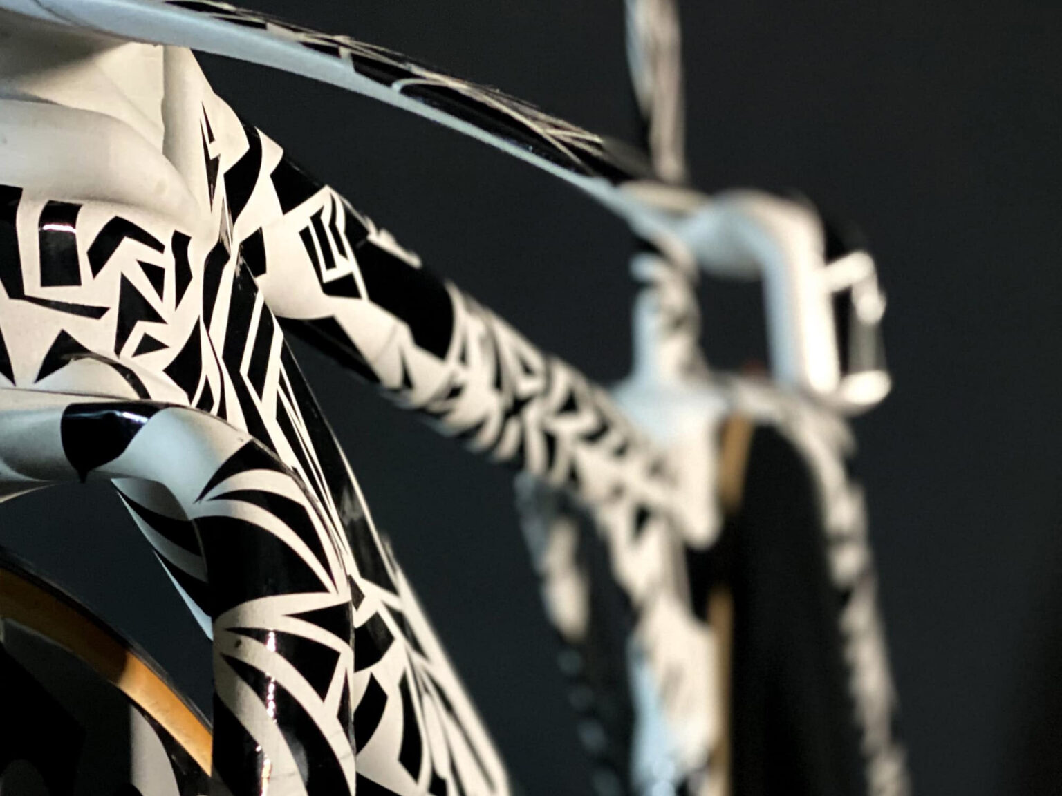 TRed X23 Swanigami 3D-printed scandium alloy track bike concept: up close