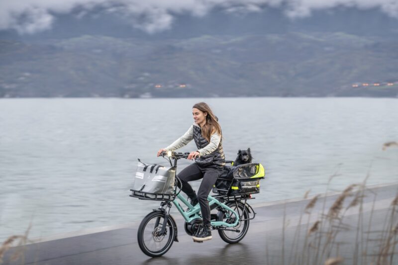 Tern HSD Cargo bike with dog