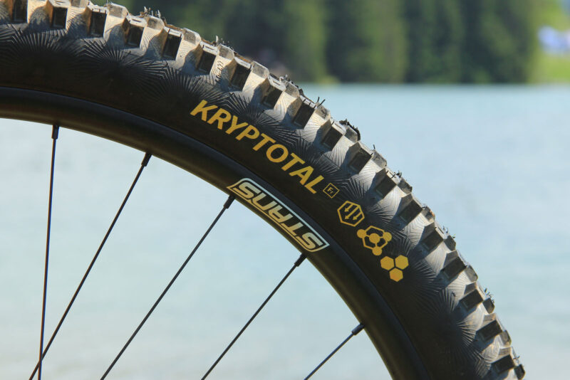 rachel atherton pro bike check continental kryptotal fr tires front rear dh casing supersoft