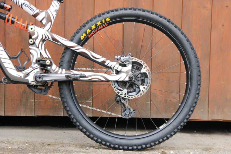 raphaela-richter-pro-bike-check-ibis-hd6-shimano-xtr-brakes-203mm-icetechnologies-rotor