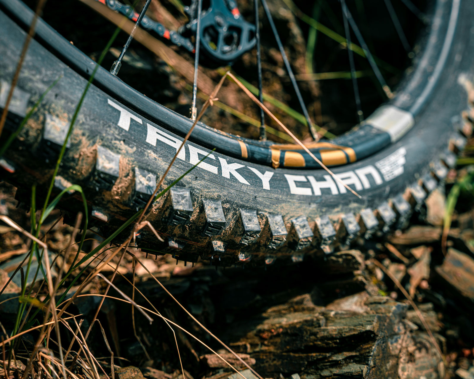 schwalbe tacky chan dh tire