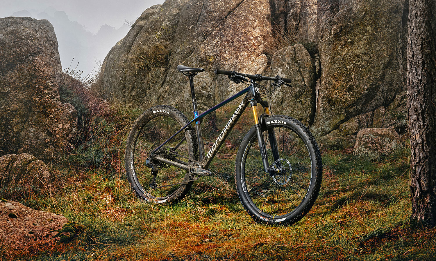Mondraker Chrono Carbon DC progressive downcountry hardtail mountain bike, bike in the forest