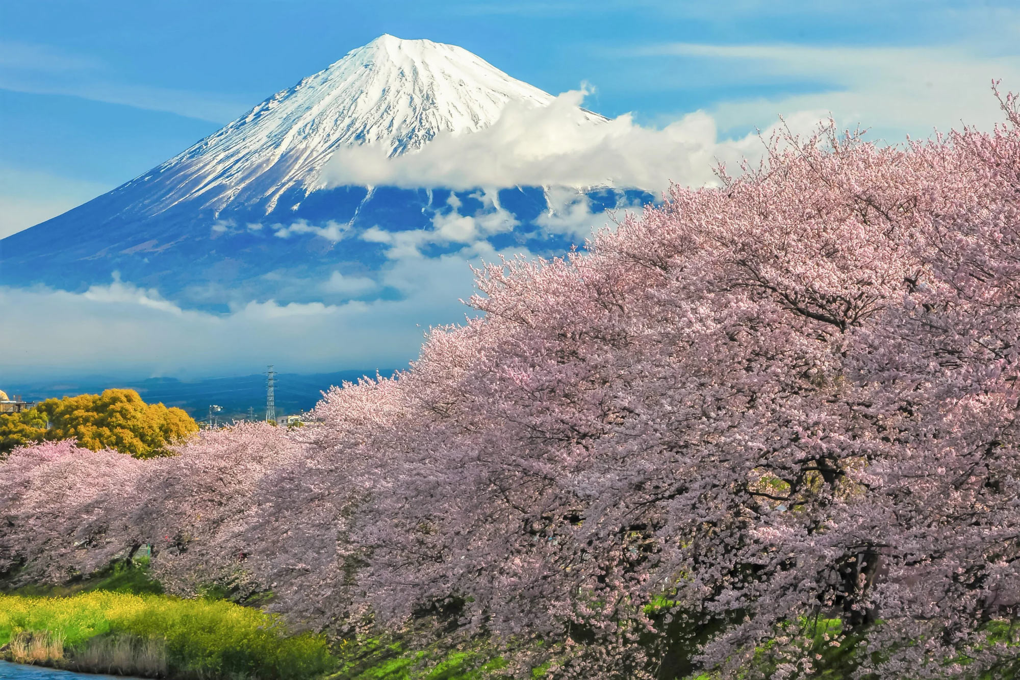 Το όρος Φούτζι φαίνεται από μια ιαπωνική βόλτα και περιήγηση με ποδήλατο