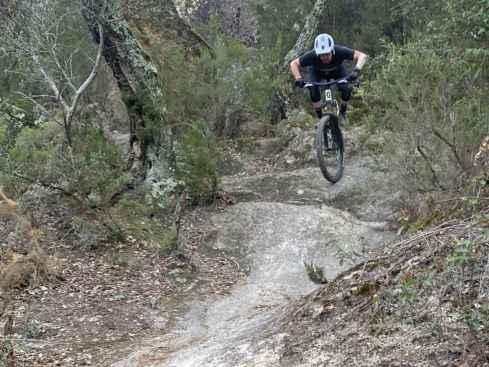 2024 Scott Ransom 170mm 6-bar carbon freeride enduro mountain bike, descending