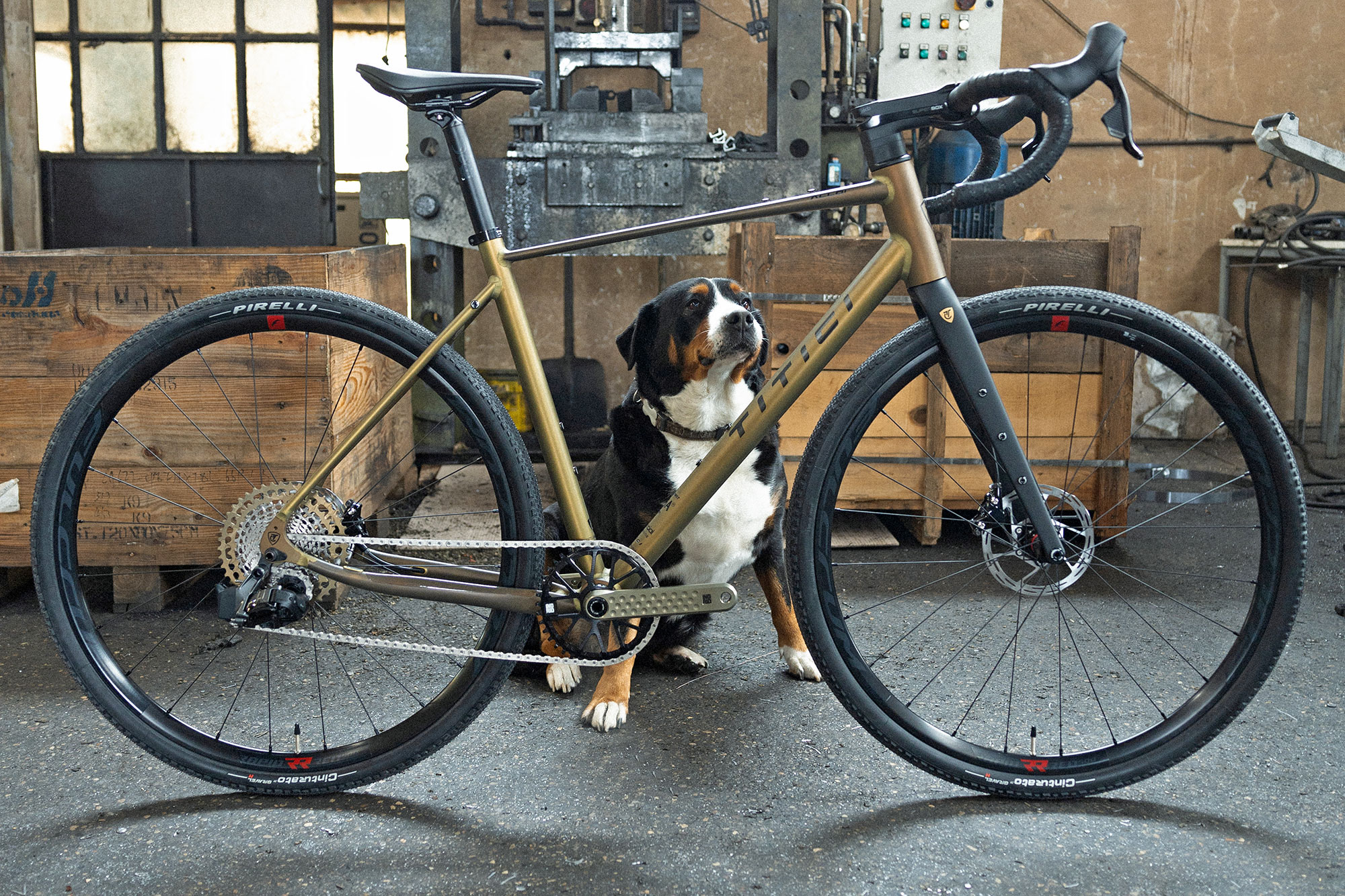 2024 Titici Alloi AND X Ingrid LE, comfortable aluminum gravel bike with GHA Silver hard anodized finish, good dog