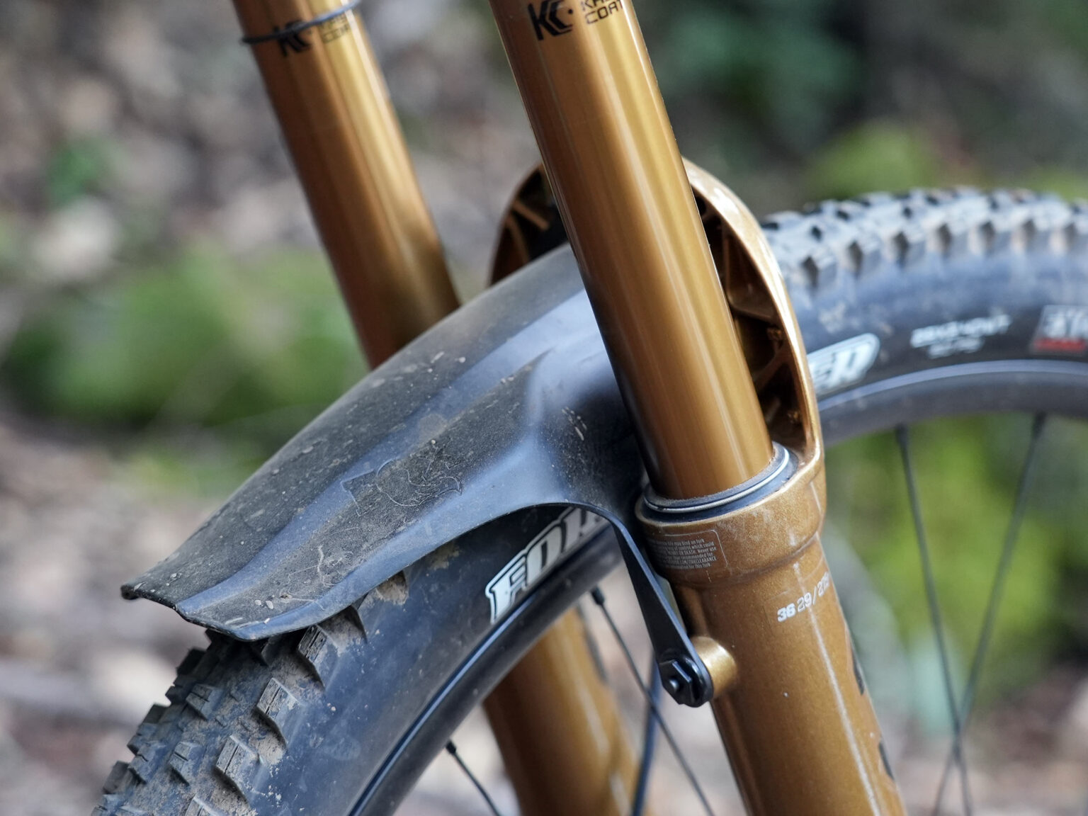 2025 fox 36 fork in limited edition gold shown on a blue mountain bike