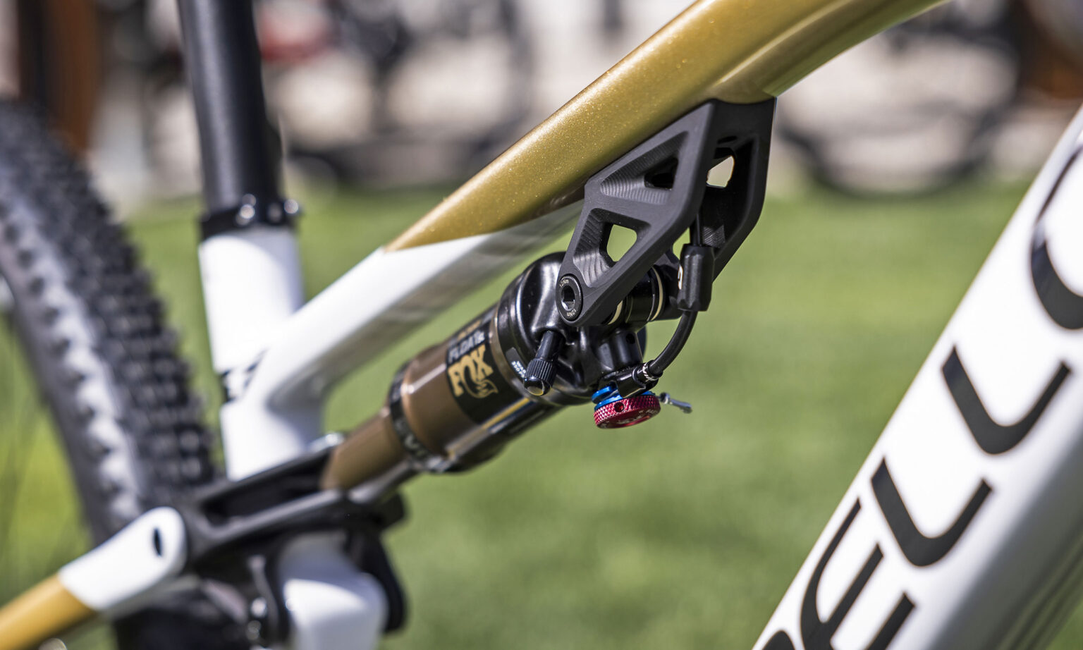Pinarello Dogma XC full-suspension cross-country mountain bike, adjustable shock mount