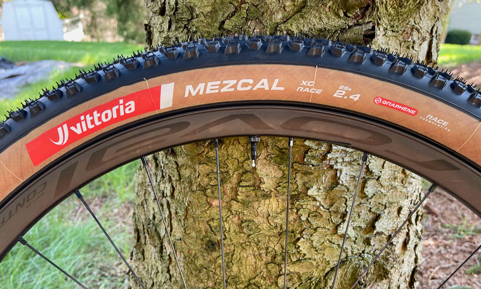 Vittoria Mezcal XC Race updated lightweight wide cross-country racing mountain bike tires, sidewall