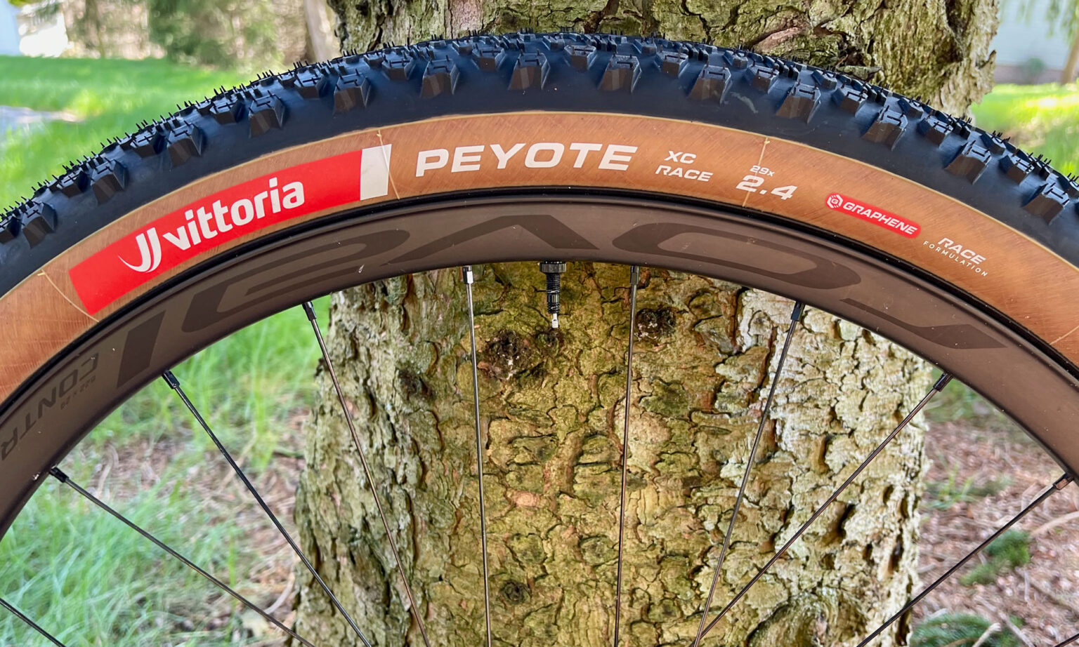 Vittoria Peyote XC Race updated lightweight wide cross-country racing mountain bike tires, sidewall
