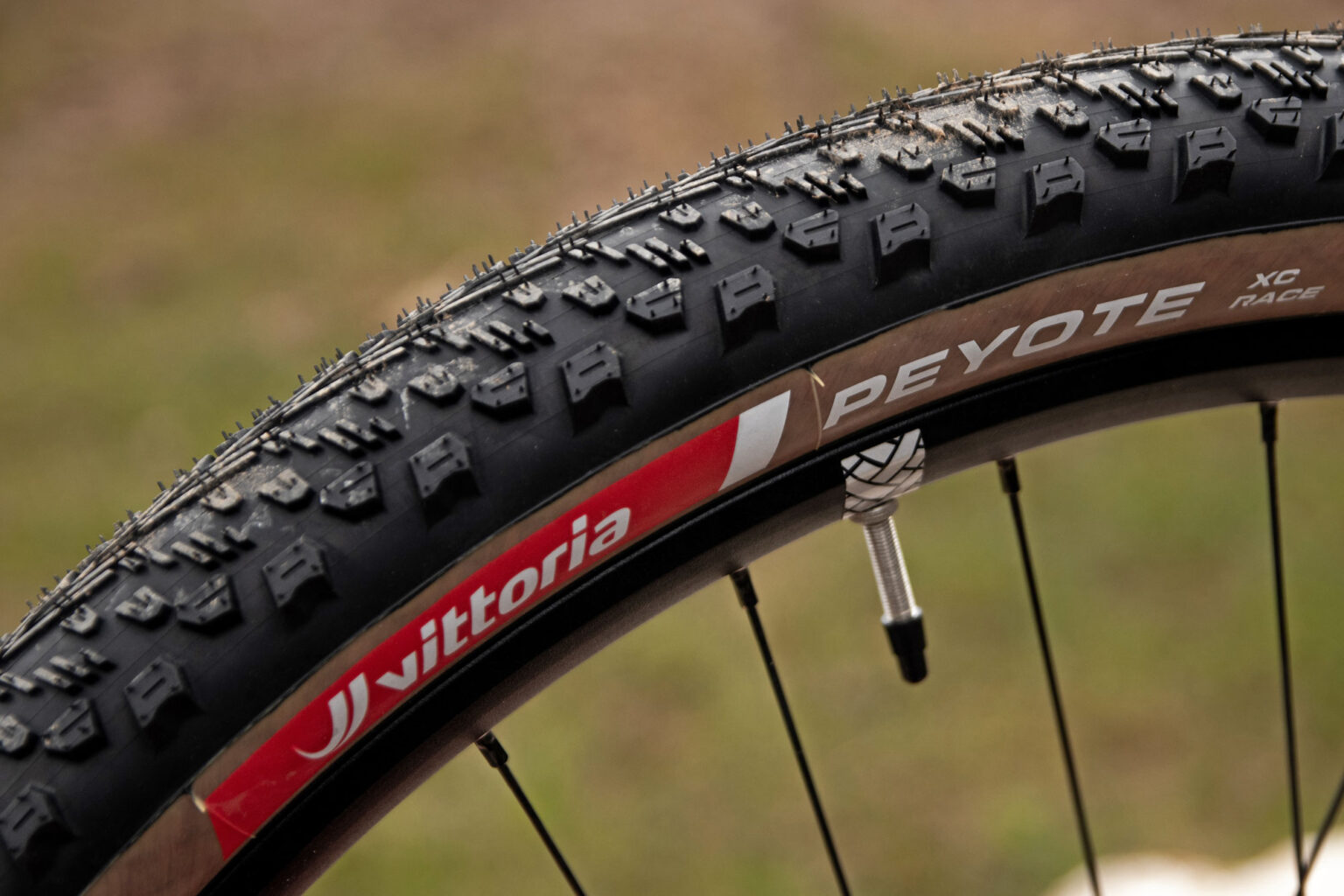 29x2.4" Vittoria Peyote XC Race cross-country mountain bike tire, detail