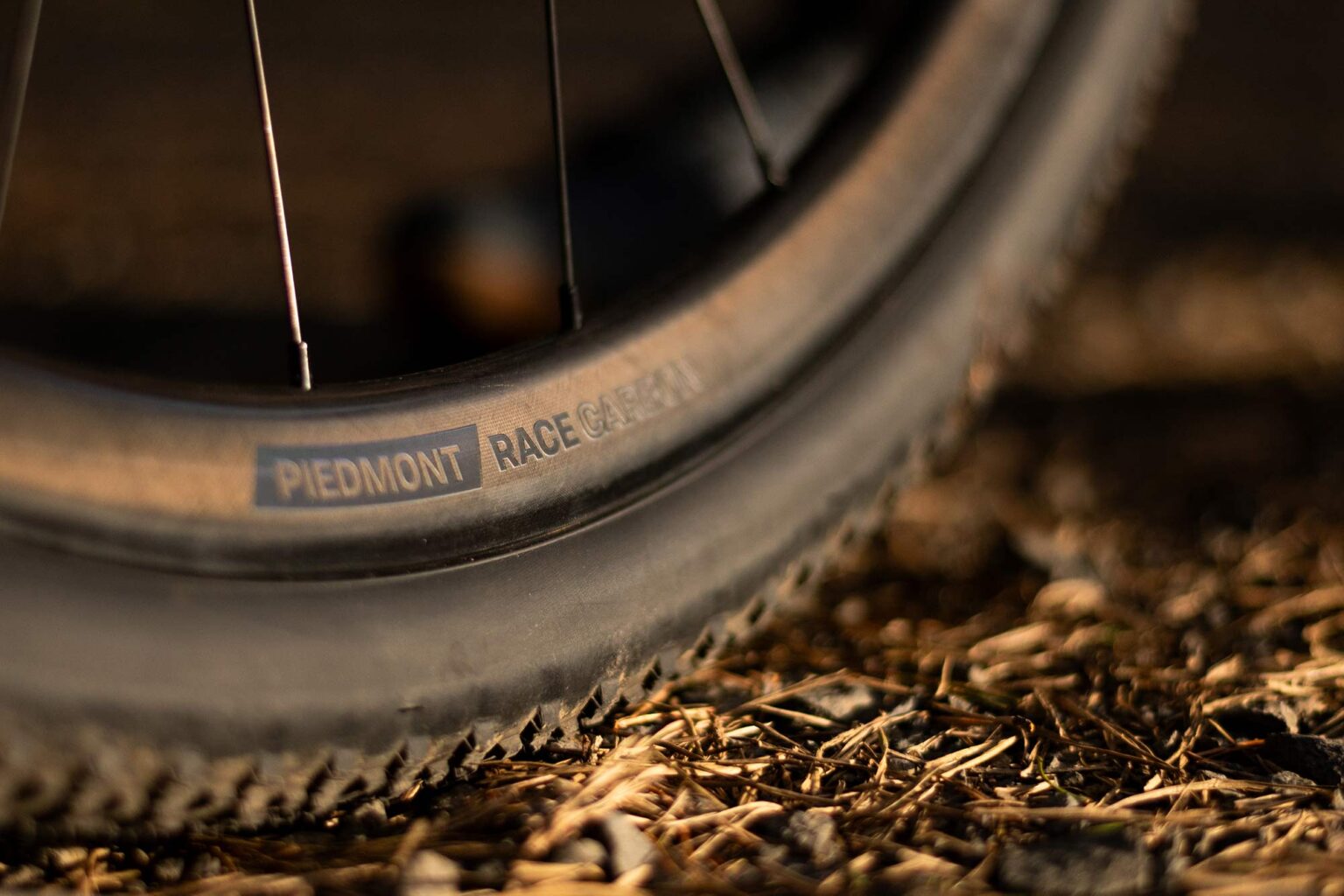 eThirteen Piedmont gravel race wheels