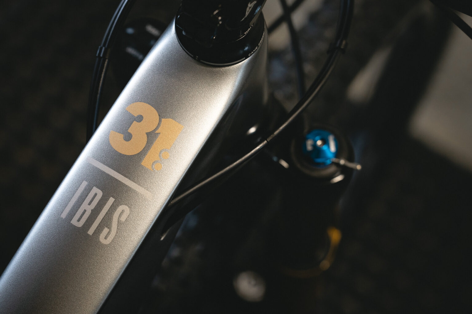 Ibis-Exie-USA-Team-31-Limited-Edition-Silver