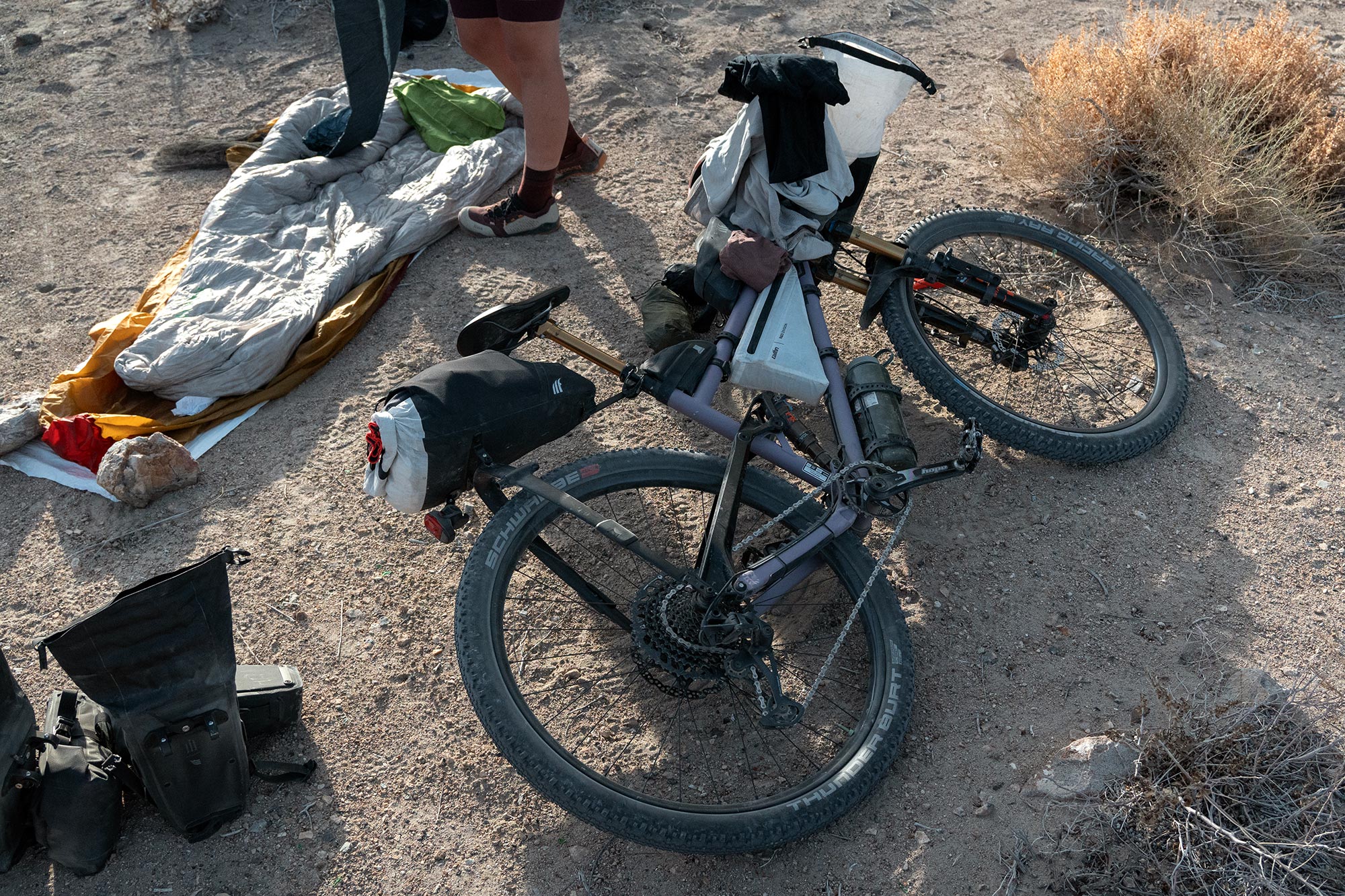 Sour SRD Cowboy Cookie small batch 120mm German steel downcountry mountain bike, Death Valley