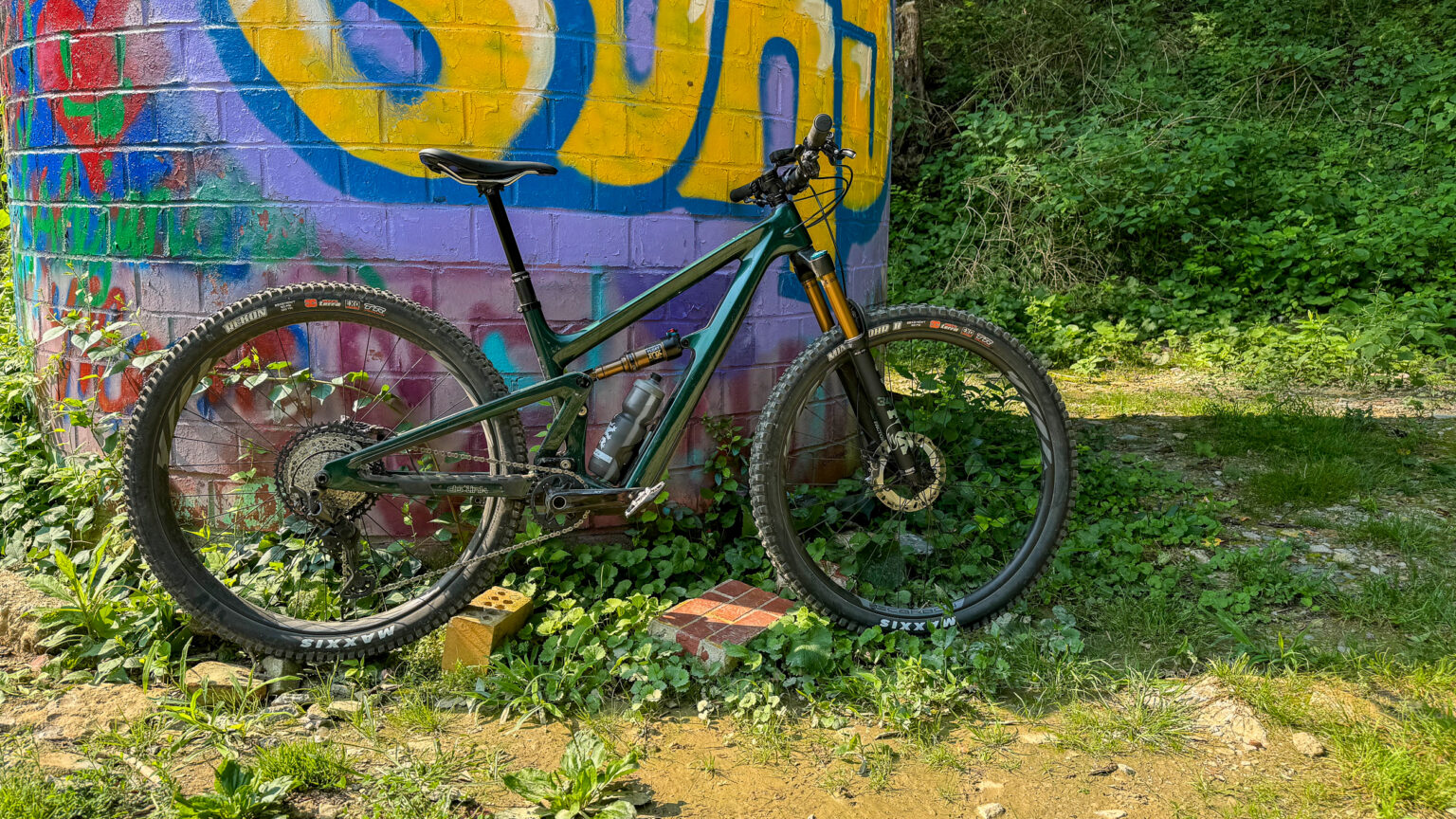 Ibis Ripley v5