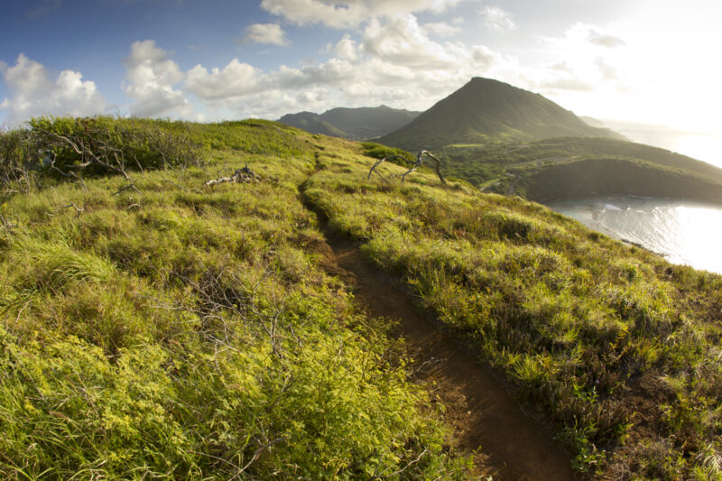 Shimano Trail Born Fund Will Donate $10 Million to Build New Trails!