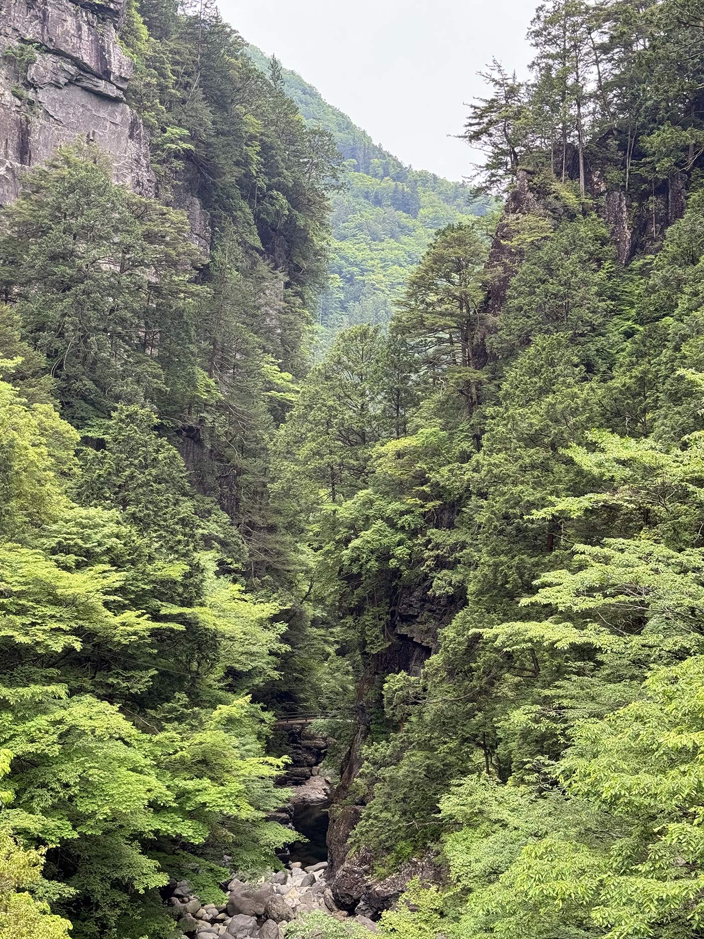 mountain scenery from ride and seek japan cycling tour in shikoku island.